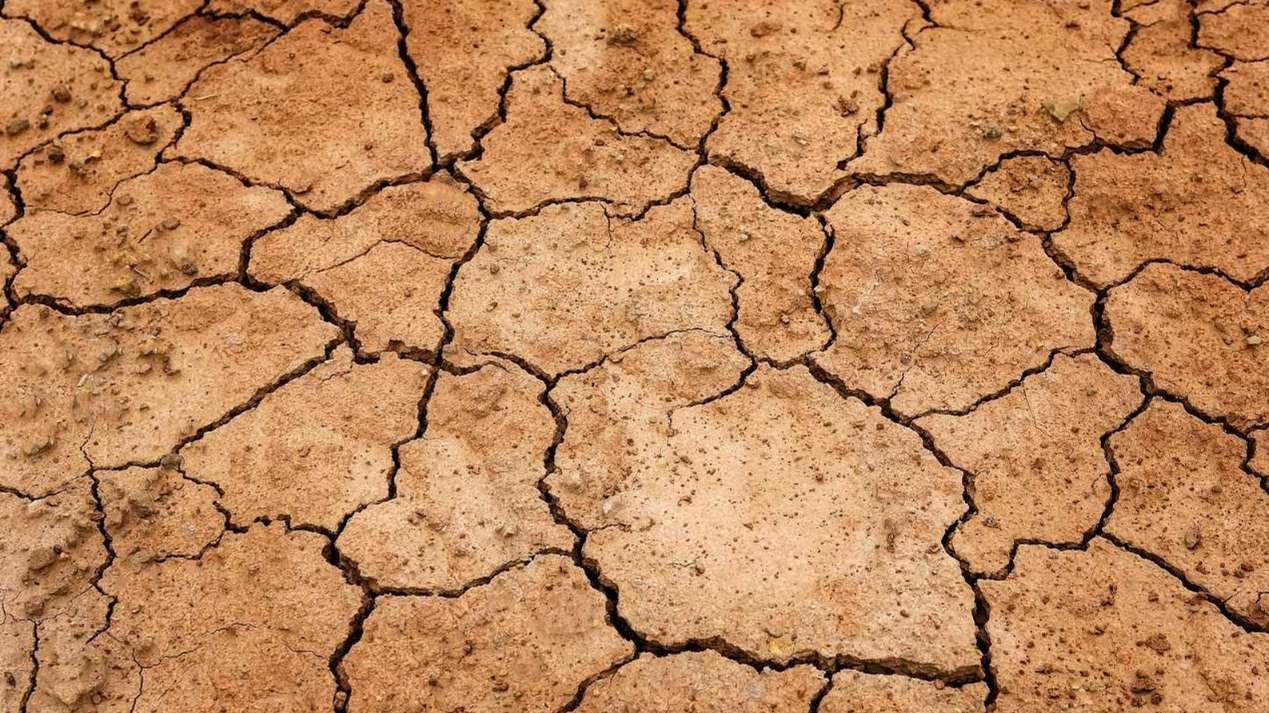 Sécheresse record en août en Europe et sur les côtes de la Méditerranée
