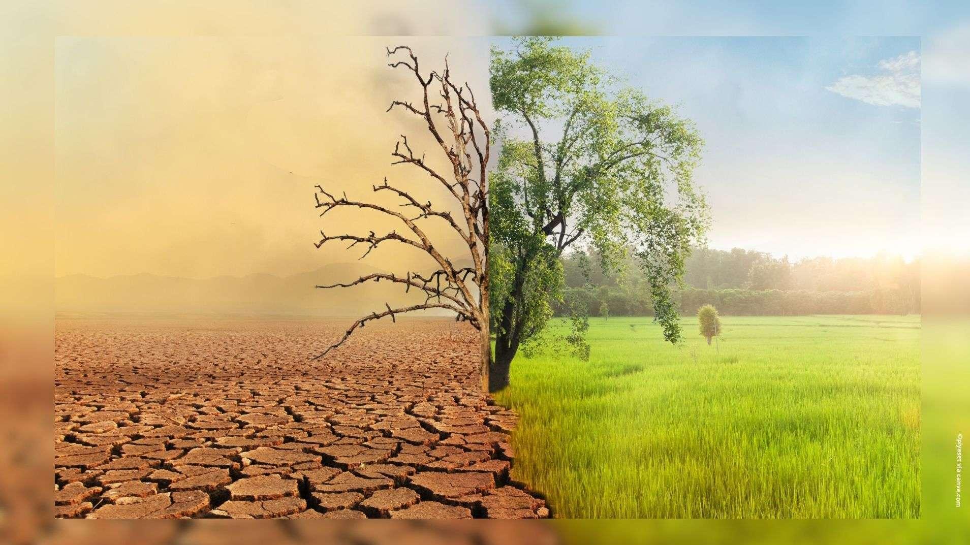 Les 10% les plus riches responsables de deux tiers du réchauffement climatique, selon une étude