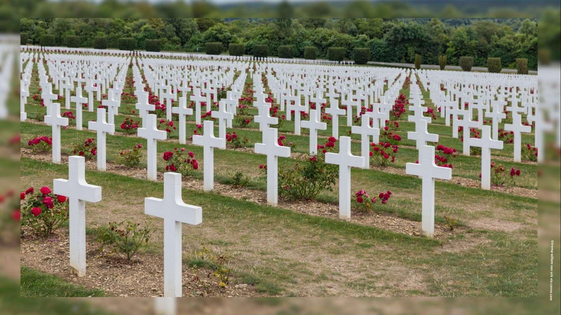 Les commémorations du 11 novembre dans vos villes