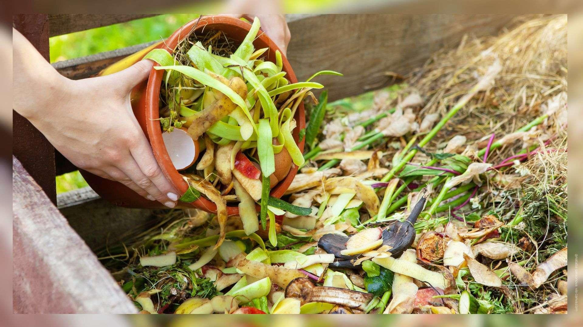 Bouches-du-Rhône : le tri des déchets alimentaires explose, êtes-vous dans la moyenne ?