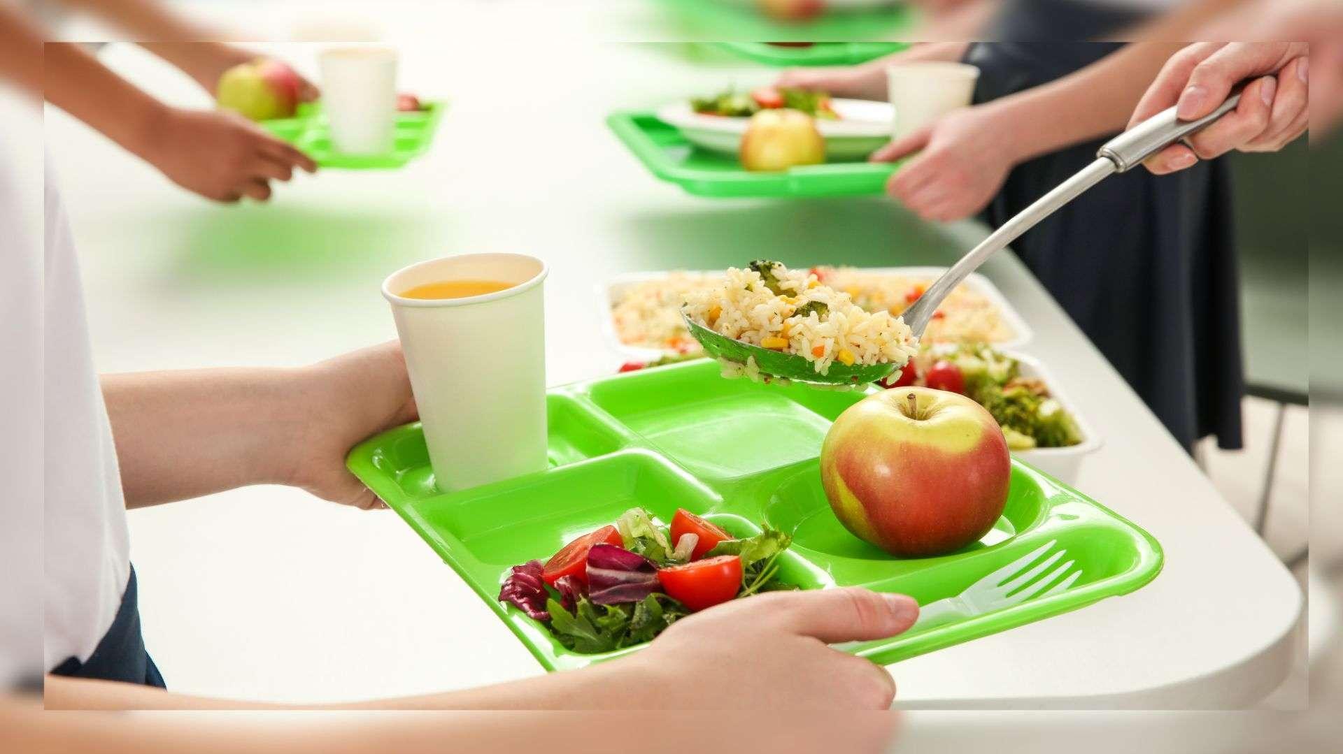 Cantines scolaires : une proposition de loi va être déposée pour interdire couverts et assiettes en plastique 