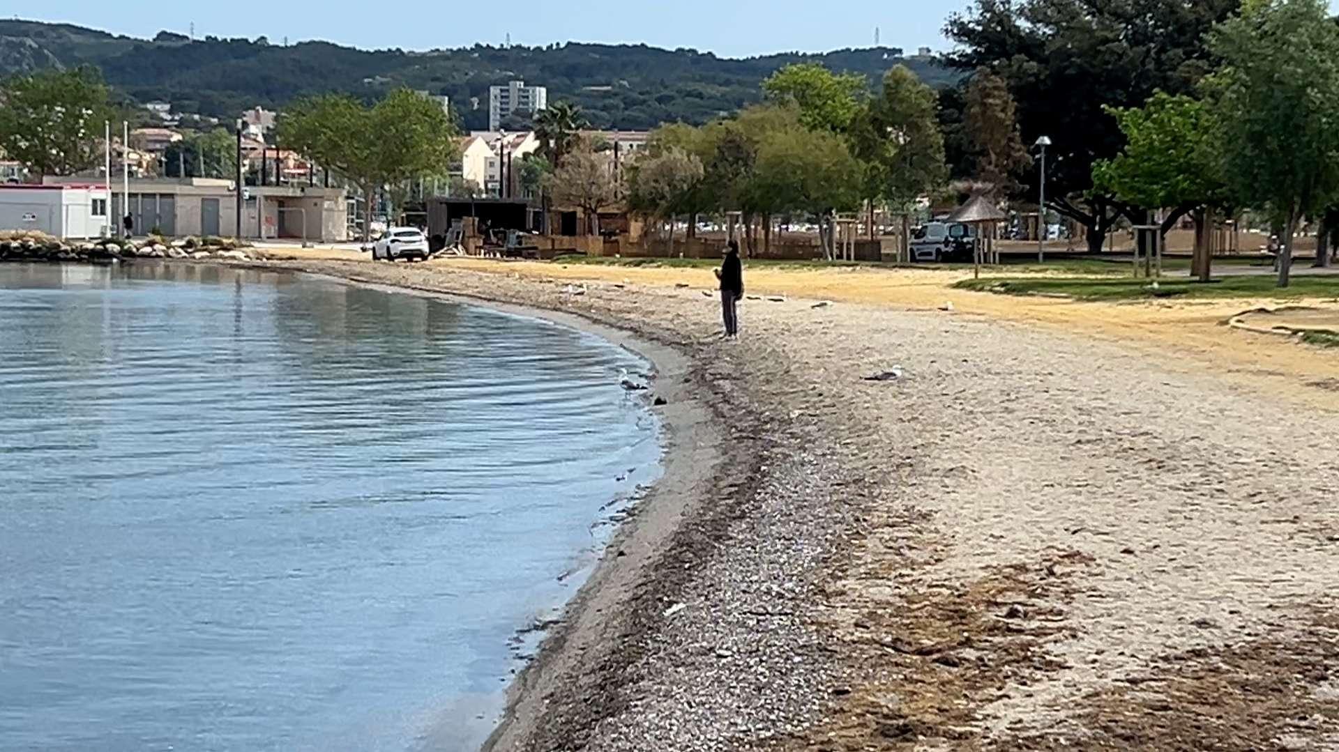 Classement "les belles plages" : "Non, l'étang de Berre n'est pas pollué!"