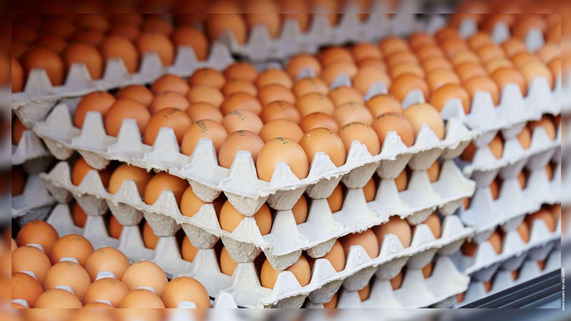 "Quand on parle de tensions, ça incite à stocker" : les Français mettent plus d'oeufs dans leur panier