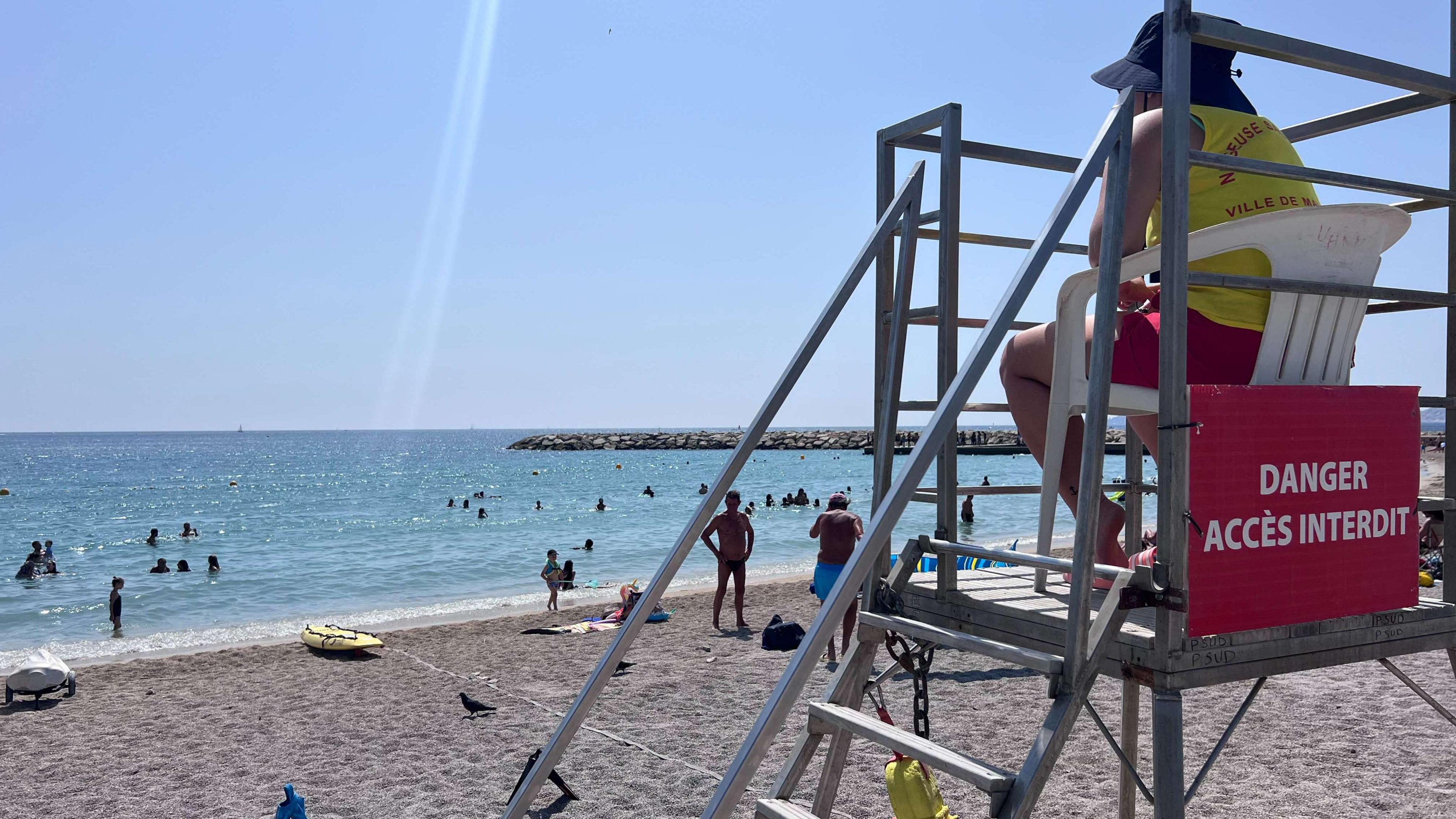 Canicule : sur les plages de Marseille, les maîtres-nageurs en première ligne pour prévenir les risques