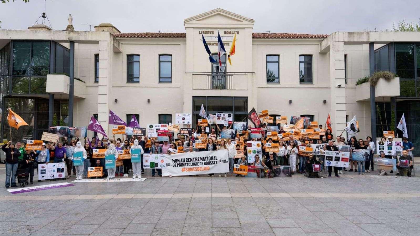 Projet de 2000 primates à Rousset : One Voice attaque le CNRS et AMU au tribunal de Marseille