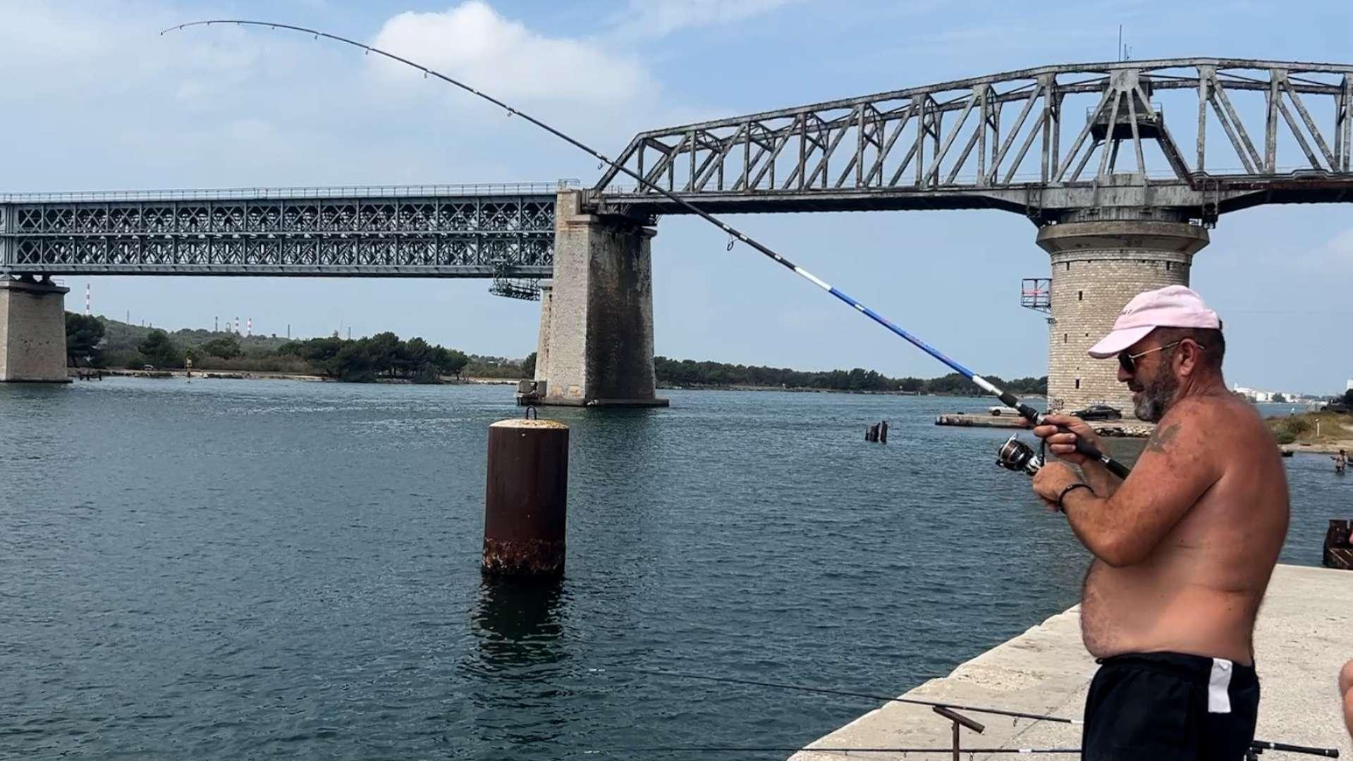Interdiction de pêche dans l'Etang de Berre : "S'il y a du poisson, c'est que ce n'est pas pollué"