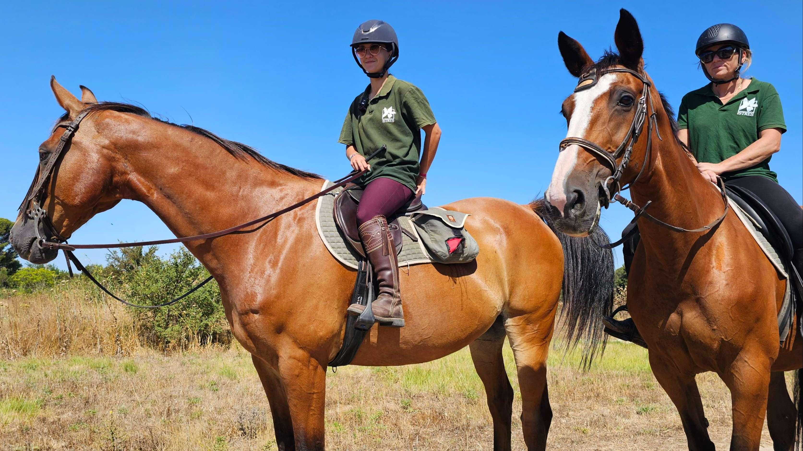 Istres : la garde à cheval pour prévenir les feux de forêt