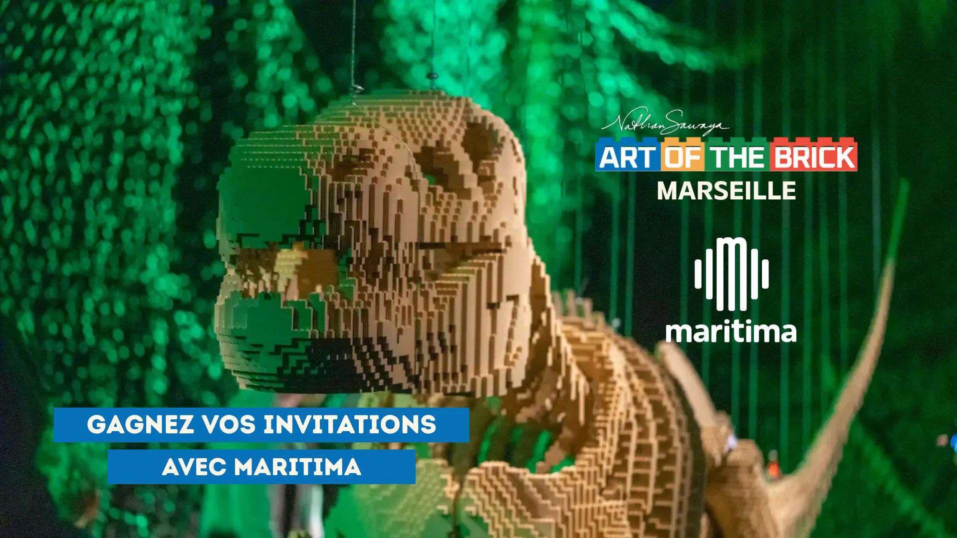ART OF THE BRICK
