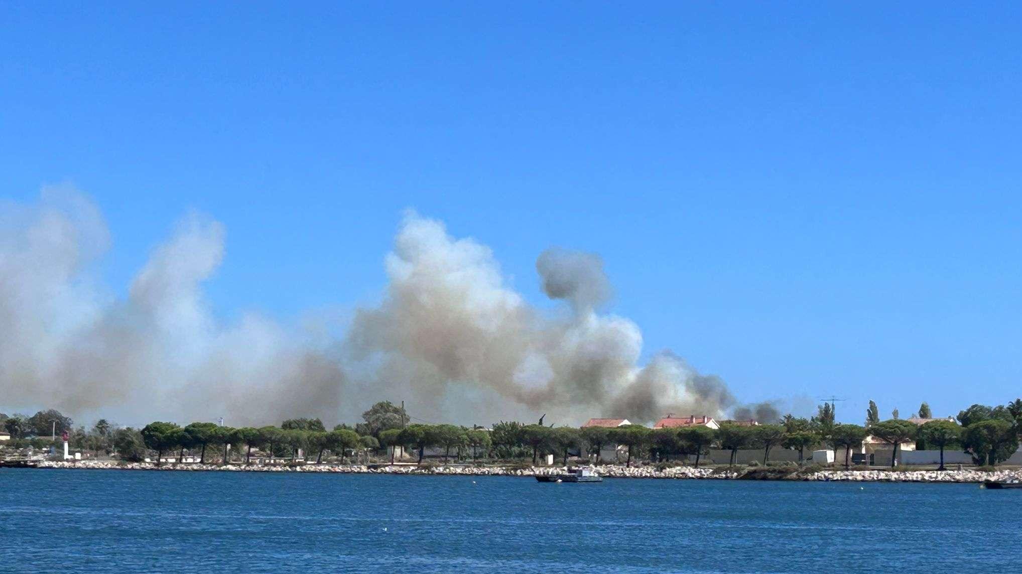 Incendie à Port-Saint-Louis : 30 pompiers mobilisés, 5000m2 de végétation brulés