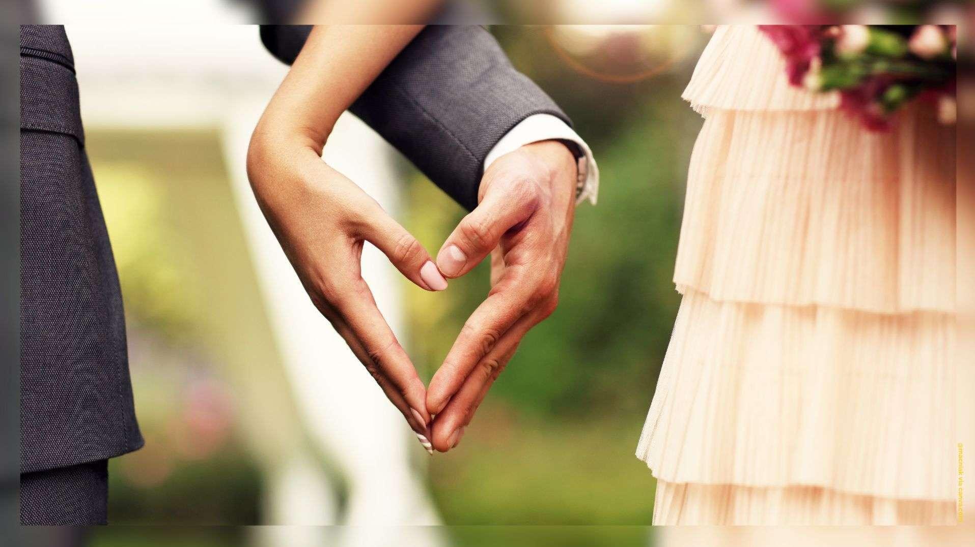 45 exposants, défilés en musique et food trucks : le Salon du Mariage est de retour à Sénas