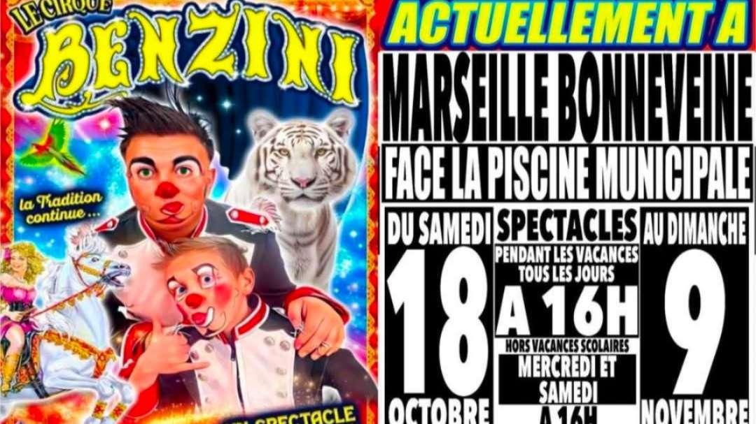 Installation illégale d'un cirque à Marseille : la mairie saisit la justice