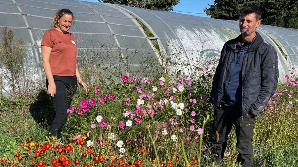 Dans les serres secrètes des chefs étoilés : le "Fil rouge" Maritima chez les rois des fleurs comestibles à Châteauneuf-les-Martigues