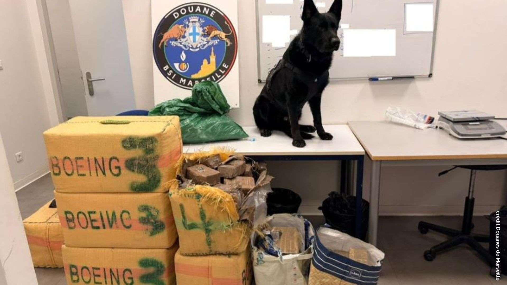 Saisie record au péage d'Arles : ils cachent 4 millions d'euros de drogue dans des fruits, la marchandise alimentaire offerte aux Restos du Cœur