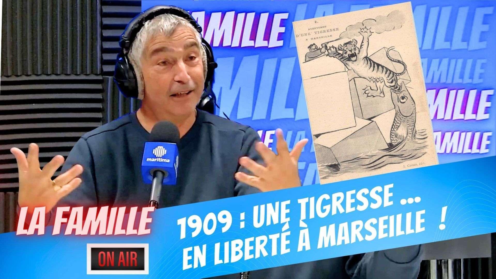 Tié du Sud : quand une tigresse de Sumatra semait la panique à Marseille en 1909 !