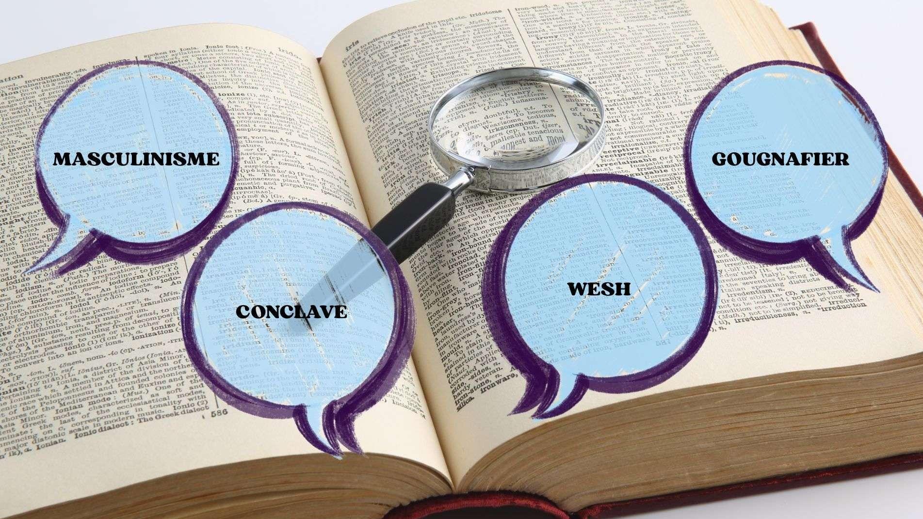 "Masculinisme", "conclave" et "wesh" dans les 10 mots de 2025, selon Le Robert