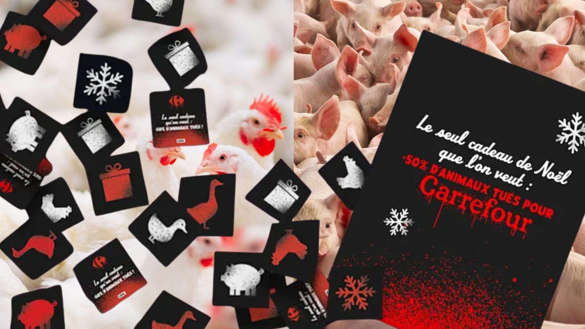 Des confettis contre l'élevage intensif : L214 prépare une action visuelle samedi à Vitrolles