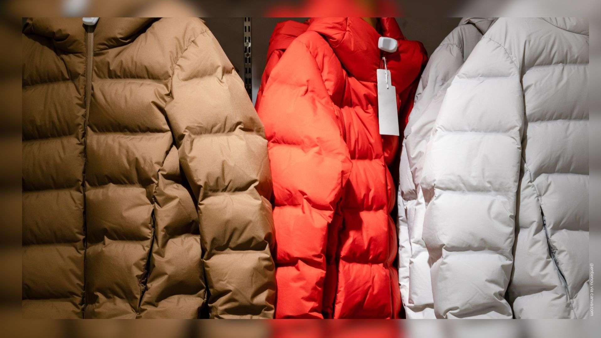 L'entreprise marseillaise de prêt-à-porter JOTT placée en redressement judiciaire