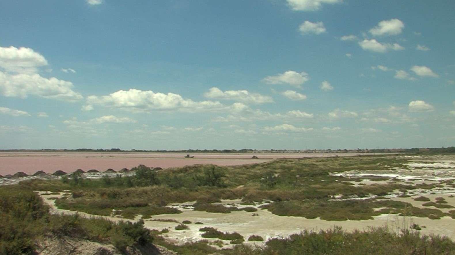 Vaste opération de police en Camargue : 78 infractions relevées, des armes saisies et des chasseurs verbalisés