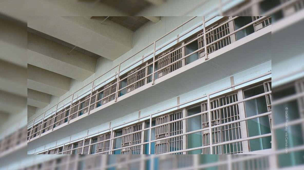 Cafards, rats, moisissures,... La contrôleure des prisons dénonce la "vétusté préoccupante" des établissements pénitentiaires